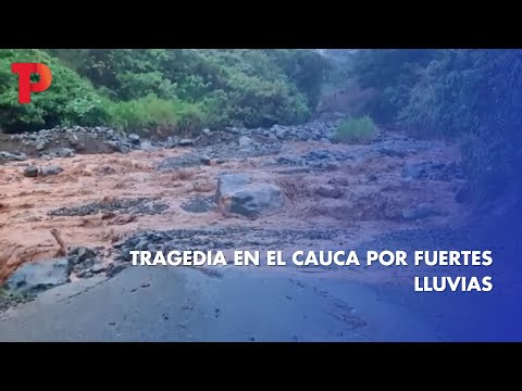 Tragedia en el Cauca por fuertes lluvias I 06.04.2023 I Telepacífico Noticias
