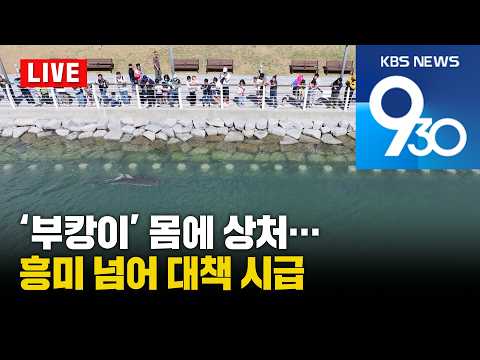[LIVE] KBS 930뉴스 부산 - 2026.10.13(화)