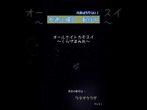 猫の動画サムネイル - 第207回オールナイトカモスイ〜くらげまみれ〜 ワタゲクラゲ #shorts