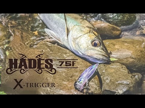 【噂の新製品・ハーデス75F】清流シーバスを攻略
