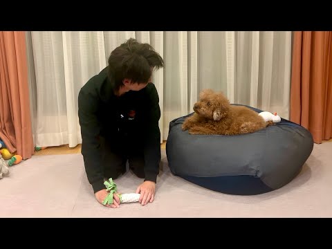 過去の動画につきまして謝罪があります。