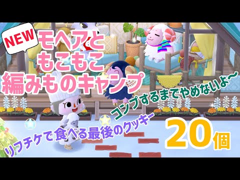 【ポケ森】とうとうリフチケで食べる最後のクッキーとなってしまいました😭コンプして終われたかな※お知らせもあります😉