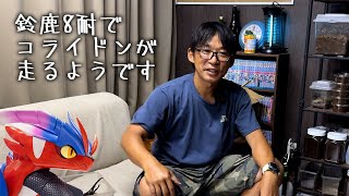動画サムネイル
