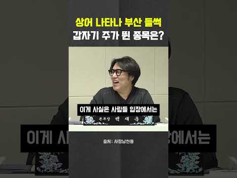 '<strong>부산</strong> 상어 출몰'에 뜻밖의 수혜… <strong>주가</strong> 급등한 회사는? #상어 #핑크퐁컴퍼니 #<strong>부산</strong> #헬마우스 #오창석 #거의없다 #사장남천동