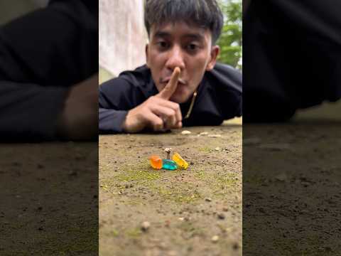 Weird experiment, Tarzan uses colorful sugar to test if millipedes understand sweetness#shortvideo