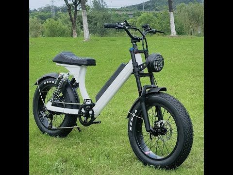 fat tire 20inch electric bike