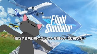 猫だけど飛行機の事完全に理解した