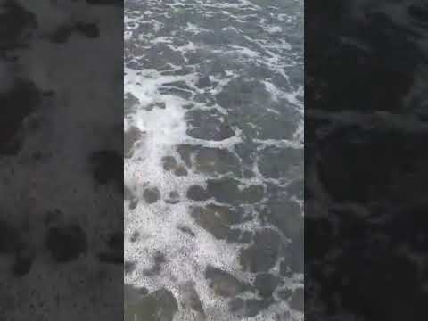 Dal Paradiso Cirella di Diamante in Calabria RCvideo comunicazione Vacanze