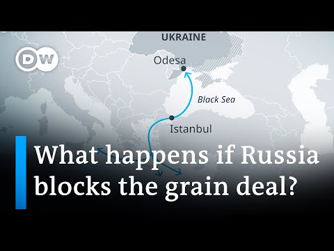 Why is the Black Sea grain deal important? | DW News