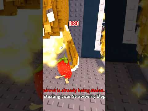 roubei um gato coruja 😺🦉 #roubeumbrainrot