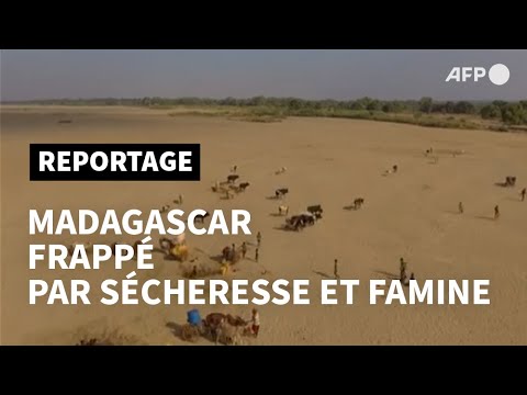 Famine à Madagascar: l'argile blanche pour remplir le ventre | AFP