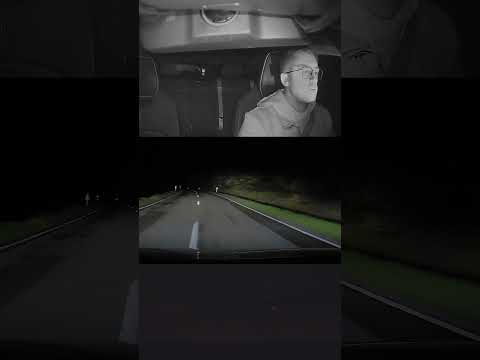 CLOSE CALL! Saved the Silly Fox 🦊 in My Lucid Air