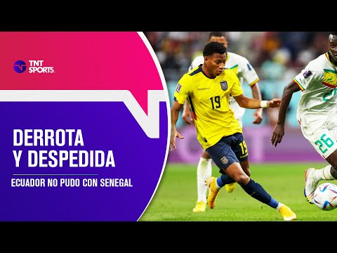 ECUADOR se despidió del Mundial Qatar 2022 - Pelota Parada