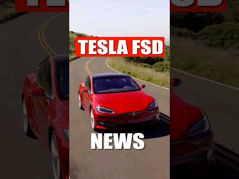 Tesla FSD 