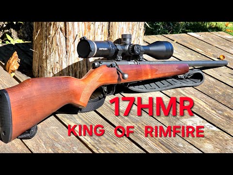 17HMR Out Performs Every Other Rimfire!