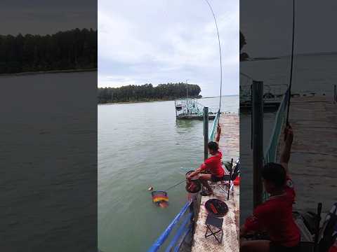 Điểm câu lý tưởng Đảo ó Đồng Trường #fishing