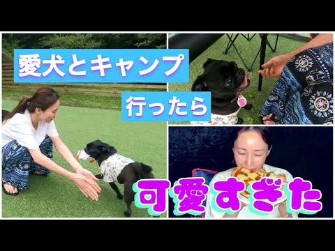 【愛犬家必見】格安のドッグラン付きキャンプ時に行ってきた！！