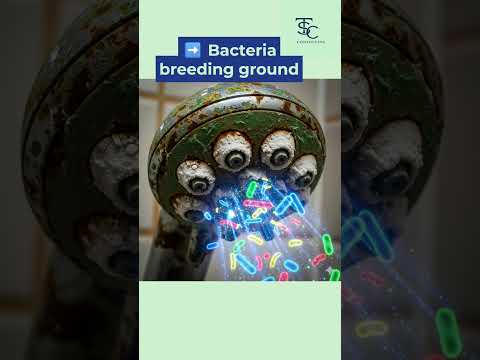 Hidden Danger in Your Shower Head | Legionella Prevention for Hotels #legionella #showerhead