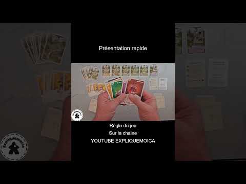 Présentation rapide de  🗡️ INSURRECTION 🛡️