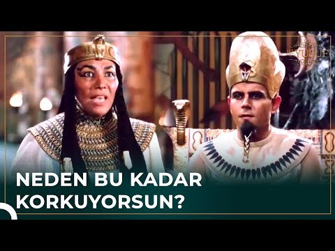 Kahinler Kraliçenin Aklına Girdi | Hz. Yusuf