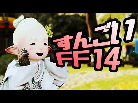 【FF14】すんごいFF14　やってないことたんまり【メテオDC】【ネタバレ注意】