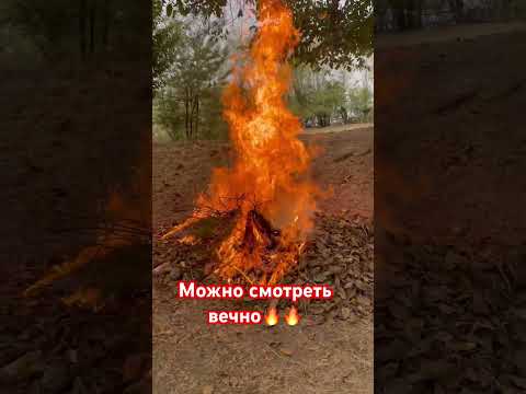 #рекомендации #рек #огонь