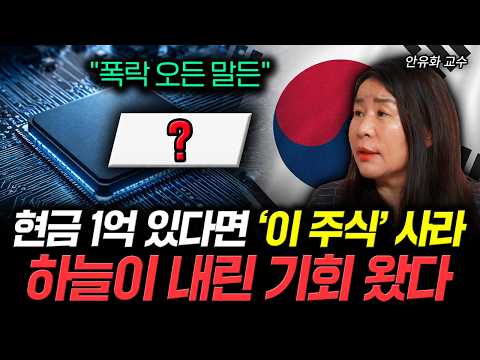 "폭락 오든 말든" 현금 1억 있다면 '이 주식' <strong>사라</strong> 하늘이 내린 기회 왔다 | 안유화 교수 5부