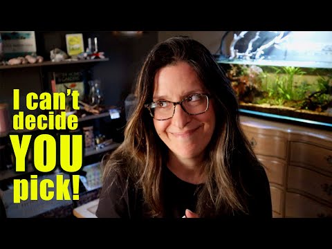 Help! I need YOU to pick my next small scape! Well hello there!
I hope you enjoy helping me pick my next small scape! Leave me a comment with any 