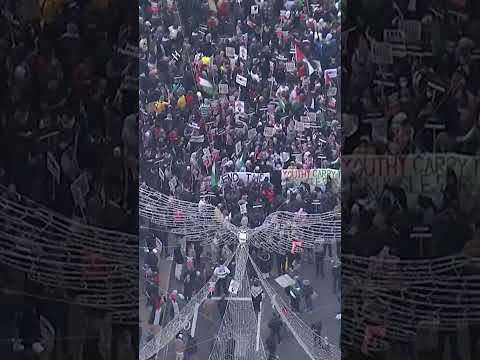 Pro-Palestinian protesters gather in London