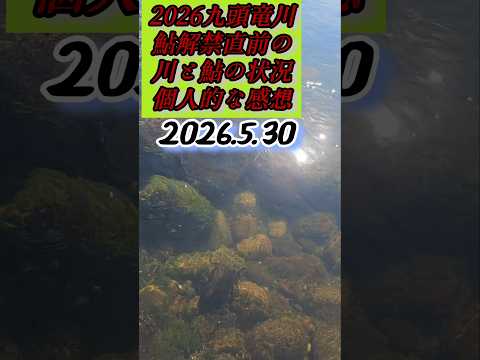 2026九頭竜川鮎も期待でき○…かも…