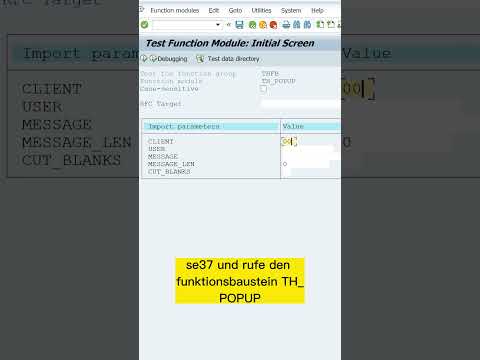 Der schnellste Weg einen User in SAP zu erreichen 😄#sap #tipp