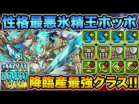 氷精王ホッポが初の回復L字2個持ち！無課金キャラなのにガチで優秀です！裏修羅の幻界で使ってみた！【スー☆パズドラ】