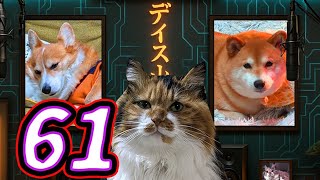 ディス子の部屋 第61回『おはなしのくに』