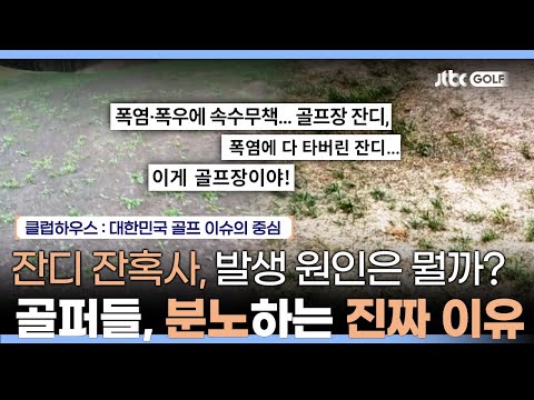 골퍼들에게 물어봤습니다! 올해 잔디 상태는 어떠한가? ⛳ | 클럽하우스