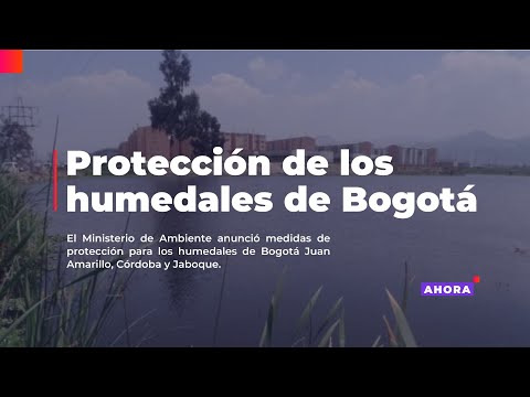 Medidas de protección para los humedales de Bogotá
