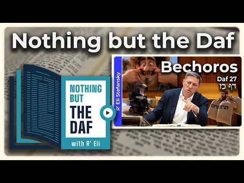 CHAZARAH - Bechoros Daf 27 | "Nothing but the Daf" with R' Eli Stefansky