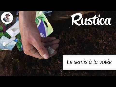 Semer à la volée des légumes au potager en mars