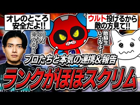 【シーズン26】新シーズンのランクがほぼスクリムな件について【APEX】
