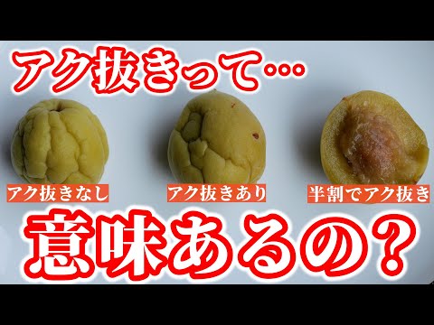 【検証】青梅のアク抜きは意味ある？カリカリ梅で比較してみた