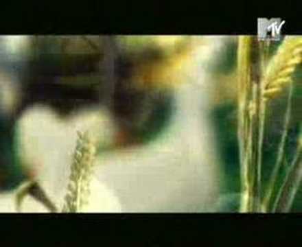 Catatonia - Dead from the waist down