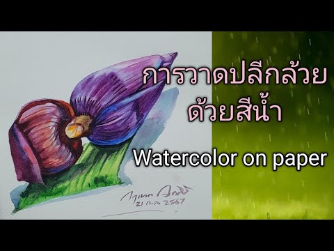 การวาด​ปลีกล้วย​ด้วย​สีน้ำ​