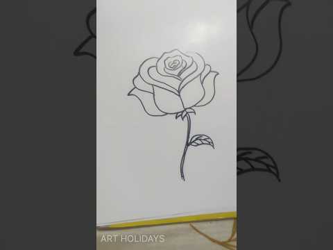 How To Draw Rose Flower Easy 🌹| असनीसे गुलाब का चित्र कैसे बनाये | Art Holidays #rose #drawing