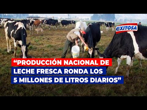 Lozada: La producción nacional de leche fresca ronda los cinco millones de litros diarios