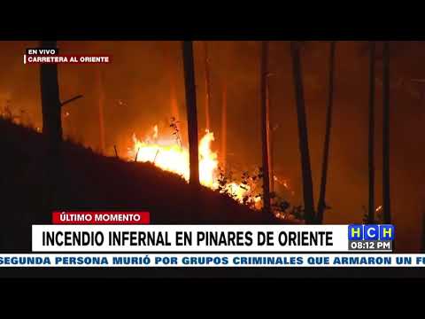 Incendio Forestal consume bosques en la carretera al oriente del país
