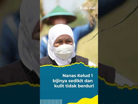 Gubernur Khofifah Beri Immune Booster untuk Prabowo Subianto, Apa Itu?