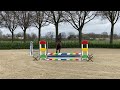 Show jumping horse Fijne 5 jarige merrie