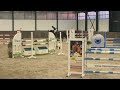 حصان القفز Fijn springpaard met veel vermogen