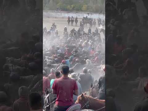 #kyrgyzstan #рекомендации #horse