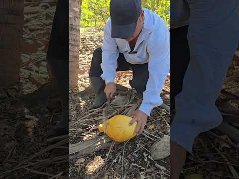 El lujo de vivir en el CAMPO 🌴 🥥