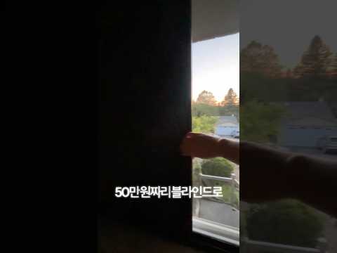 - <strong>미국이민생활</strong>